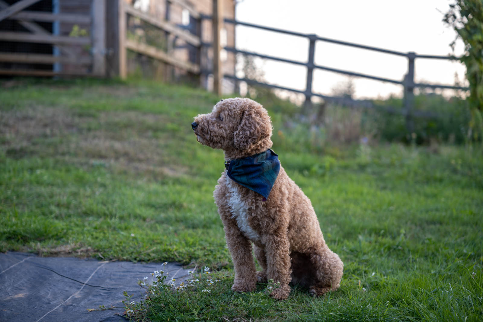 Young people at Hydons Flower Farm with the Green Hub Project
