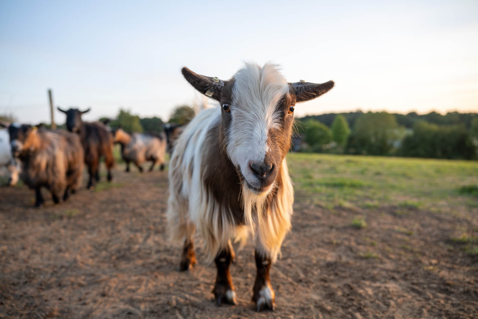 Green Hub Project workshops with young people