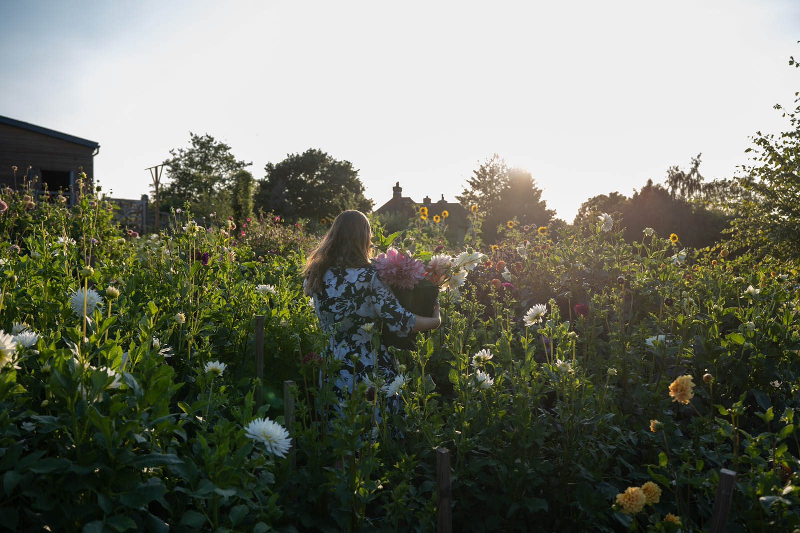 Pick your own flowers at the farm